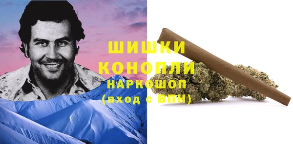 гидра Армянск