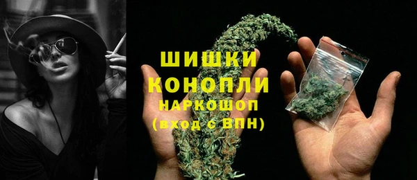 стаф Аркадак