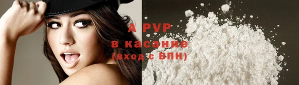 стаф Аркадак