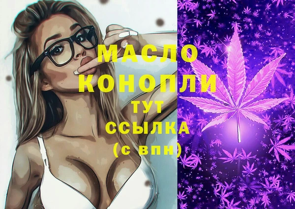 гидра Армянск