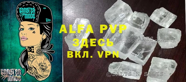 стаф Аркадак