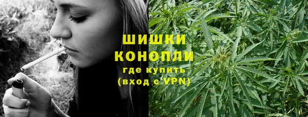 гидра Армянск