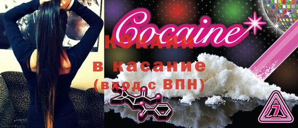 стаф Аркадак