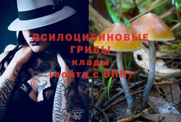 гидра Армянск