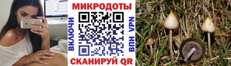 Галлюциногенные грибы мицелий blacksprut ССЫЛКА Мамоново